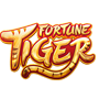 fortune tiger demo ícone